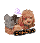 犬♡トイプードル家族（個別スタンプ：17）