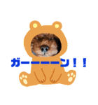 犬♡トイプードル家族（個別スタンプ：31）