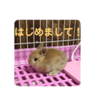 ぼくらのきなこ（個別スタンプ：1）