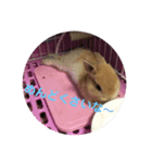 ぼくらのきなこ（個別スタンプ：5）