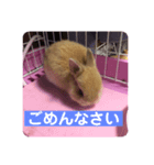 ぼくらのきなこ（個別スタンプ：6）