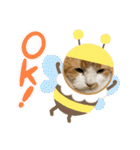 のんn o日々（個別スタンプ：1）
