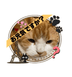 のんn o日々（個別スタンプ：3）