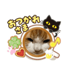 のんn o日々（個別スタンプ：5）
