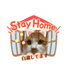 のんn o日々（個別スタンプ：6）
