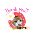 のんn o日々（個別スタンプ：8）