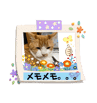 のんn o日々（個別スタンプ：10）