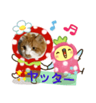 のんn o日々（個別スタンプ：11）