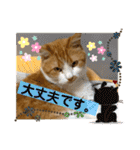 のんn o日々（個別スタンプ：12）