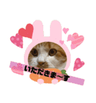 のんn o日々（個別スタンプ：13）
