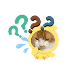 のんn o日々（個別スタンプ：15）