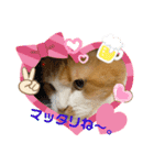 のんn o日々（個別スタンプ：18）