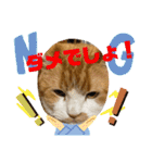のんn o日々（個別スタンプ：19）