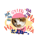 のんn o日々（個別スタンプ：20）