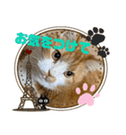 のんn o日々（個別スタンプ：22）