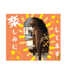 トイプーすたんぷ第2弾（個別スタンプ：26）