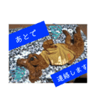 トイプーすたんぷ第2弾（個別スタンプ：31）