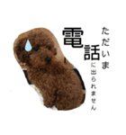 トイプーすたんぷ第2弾（個別スタンプ：34）