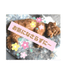 トイプーすたんぷ第2弾（個別スタンプ：39）