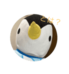 ぺんちゃんずスタンプ 1（個別スタンプ：3）