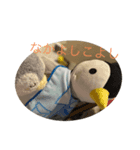 ぺんちゃんずスタンプ 1（個別スタンプ：5）