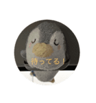 ぺんちゃんずスタンプ 1（個別スタンプ：8）