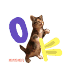 もにょもふ 子猫編1（個別スタンプ：6）