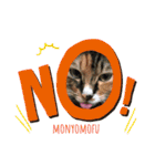 もにょもふ 子猫編1（個別スタンプ：7）