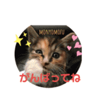 もにょもふ 子猫編1（個別スタンプ：12）