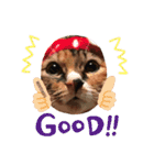もにょもふ 子猫編1（個別スタンプ：14）