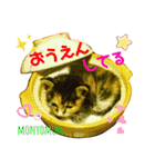 もにょもふ 子猫編1（個別スタンプ：15）
