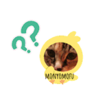 もにょもふ 子猫編1（個別スタンプ：17）