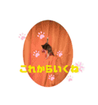 もにょもふ 子猫編1（個別スタンプ：18）