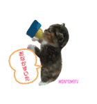 もにょもふ 子猫編1（個別スタンプ：19）