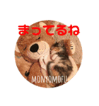 もにょもふ 子猫編1（個別スタンプ：20）