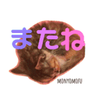 もにょもふ 子猫編1（個別スタンプ：21）