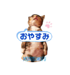 もにょもふ 子猫編1（個別スタンプ：24）