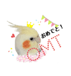 オカメインコ＆桜文鳥きもち伝えるスタンプ（個別スタンプ：10）