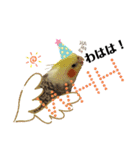 オカメインコ＆桜文鳥きもち伝えるスタンプ（個別スタンプ：22）