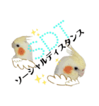 オカメインコ＆桜文鳥きもち伝えるスタンプ（個別スタンプ：24）