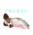 らっきたん（個別スタンプ：6）
