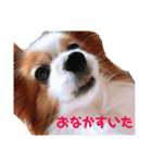 らっきたん（個別スタンプ：8）