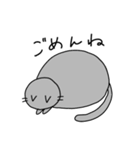 ねこのちびすけ（個別スタンプ：13）