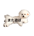 ♡コットン♡ver.2♡（個別スタンプ：13）