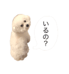 ♡コットン♡ver.2♡（個別スタンプ：16）