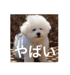 ♡コットン♡ver.2♡（個別スタンプ：17）