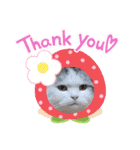 あいさつねこきち②（個別スタンプ：5）