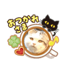 あいさつねこきち②（個別スタンプ：7）