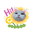 あいさつねこきち②（個別スタンプ：8）