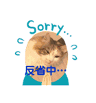 あいさつねこきち②（個別スタンプ：11）